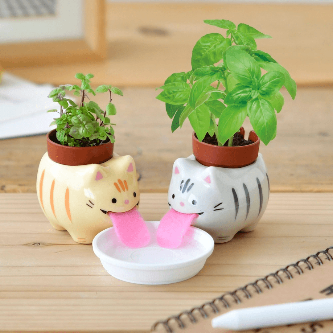 Peropon Licking Cat Herb Planter